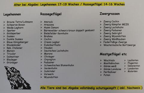 Mastgeflügel, Masthähnchen, Gänse, Enten, Wachteln