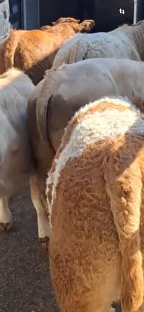 Suchen Partnerbetriebe