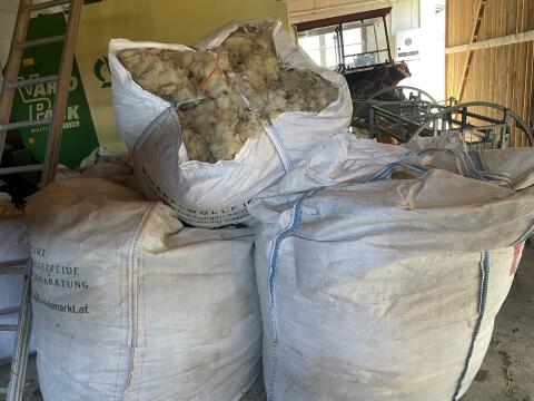 Verschenke Schafwolle