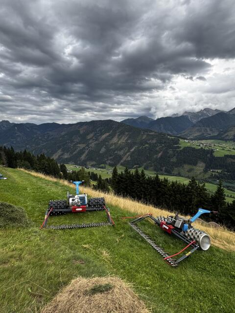 Lohnmähen mit Brielmaier