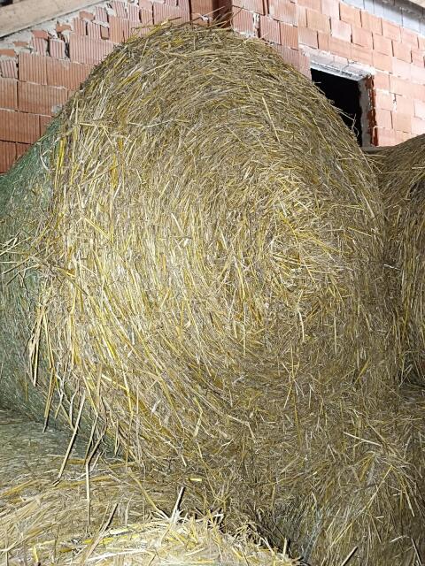 Bio Stroh Rundballen