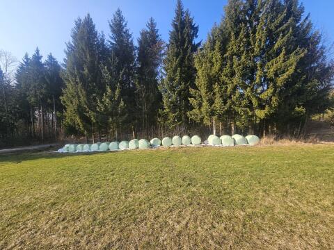 Siloballen 3. Schnitt