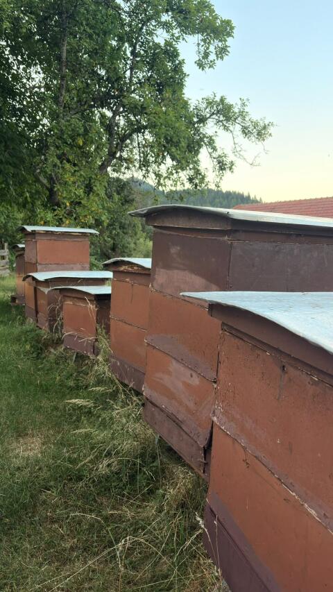 Bienenvölker, Bienenstöcke, div. Zubehör