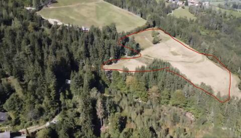 Suche Pächter für 4,5 ha