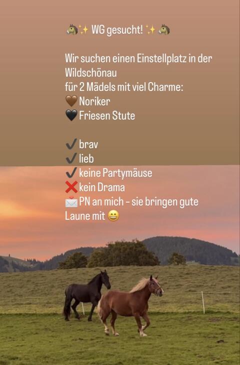 Wiese für Pferdehaltung zur Pacht gesucht