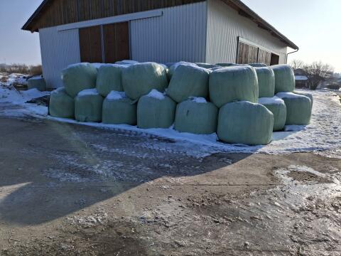 Siloballen Schnitt 4 und 5 2025