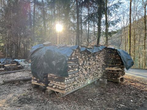 Brennholz, hart