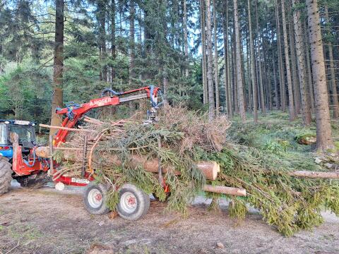 Rückewagen Eigenbau - Mit Moser 3-Punkt-Kran und Bagger