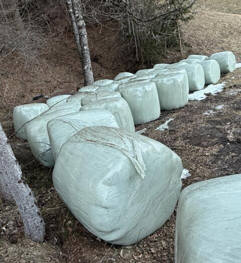 Verkaufe Heulageballen