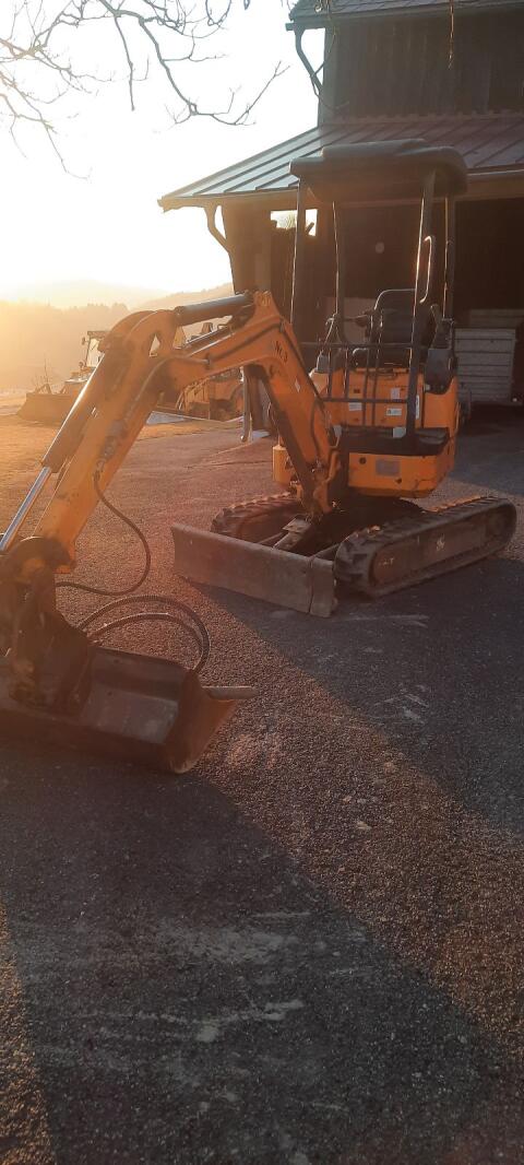 Bagger 2 t Vermietung