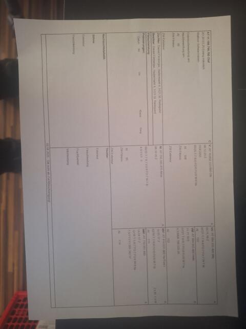Walliser Schwarznasenschaf
