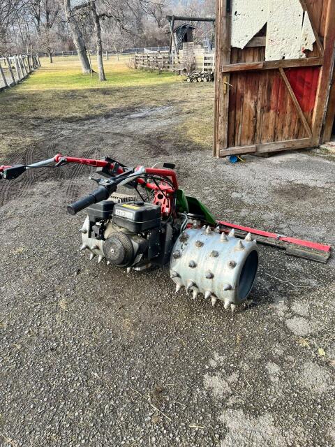 Rapid Swiss Bj. 2021