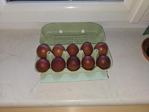 Marans Eier