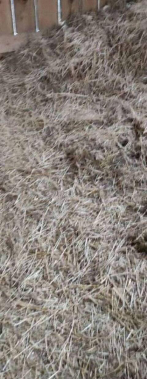 Stroh lose zu verschenken