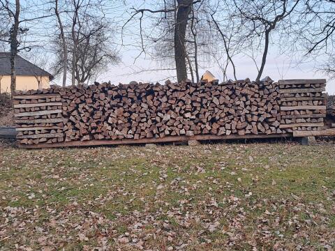 Buchenbrennholz