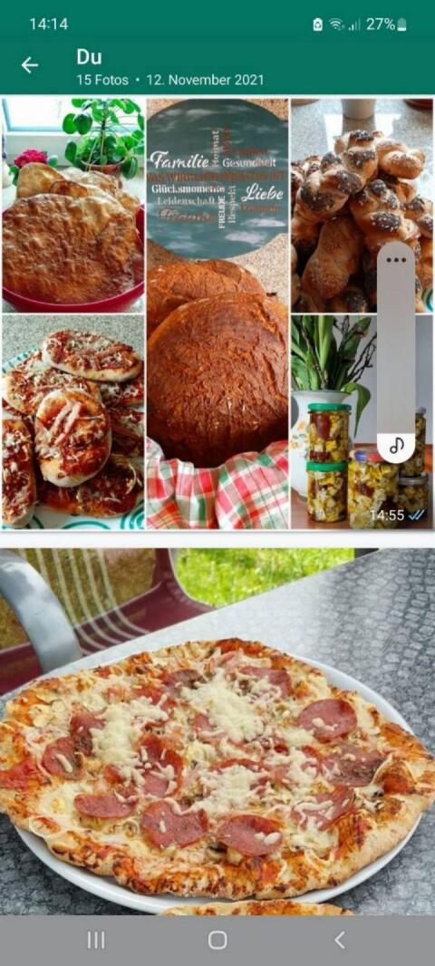 Brotbackofen oder Pizzaofen