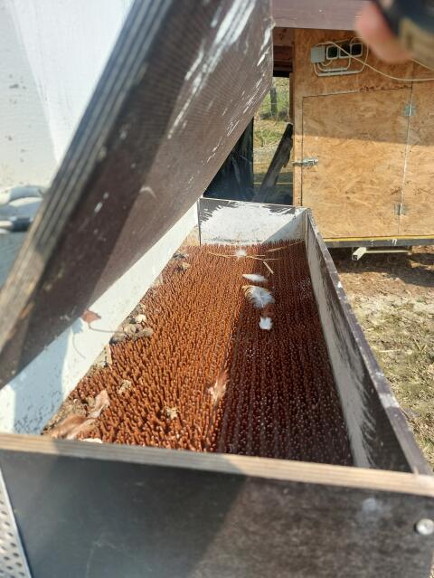 Mobiler Hühnerstall