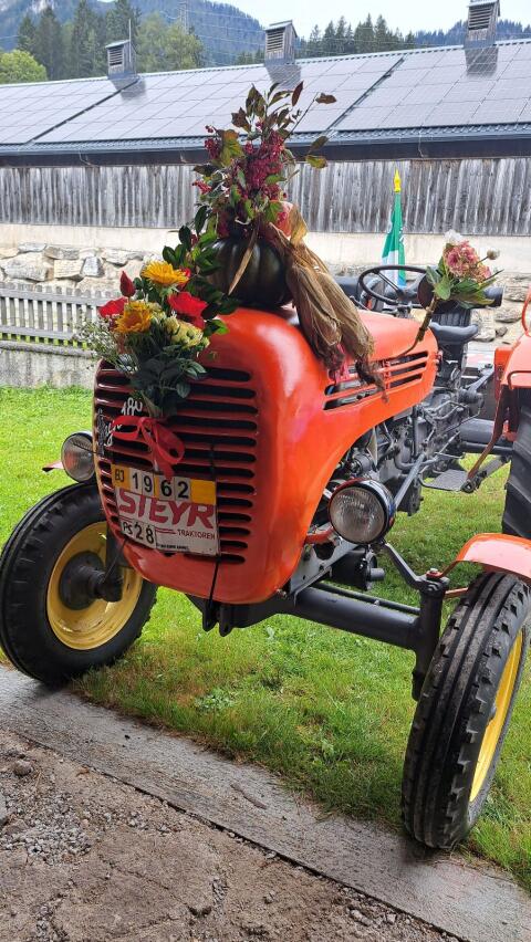 Steyr 188, Bj. 1964