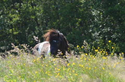 Einstellplatz zu vergeben