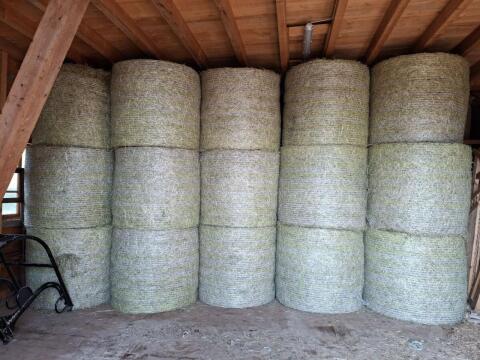 Heu, Heuballen, Rundballen Ernte 2025