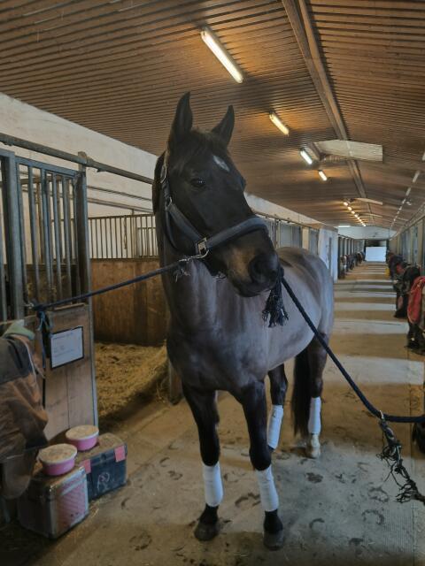 Suche liebevollen Freizeitplatz