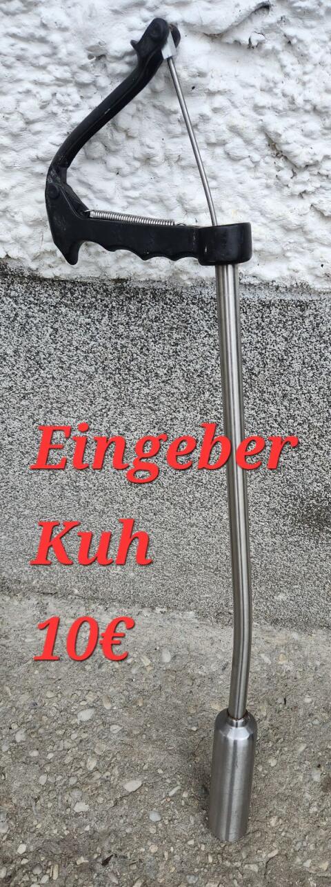 Eingeber Kuh