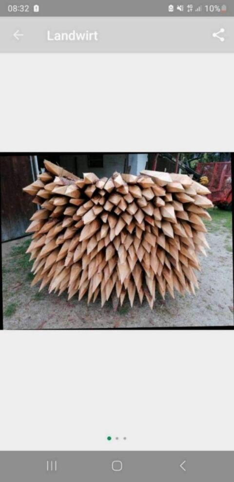 Zaunpfähle Almlärche, Stempel, Strempel, Pflöcke