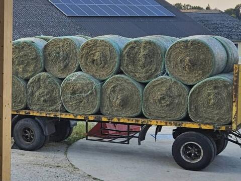 Grummet - 2. Schnitt