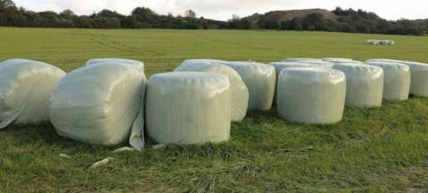 Siloballen zu verkaufen