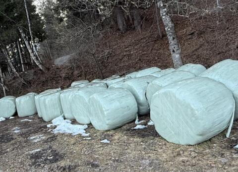 Verkaufe Gärheuballen für Schafe und Pferde