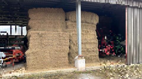 Öhmd (zweiter Schnitt)