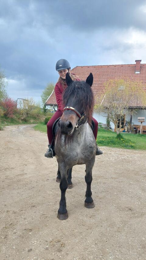 Rarität mit Charme und Charakter