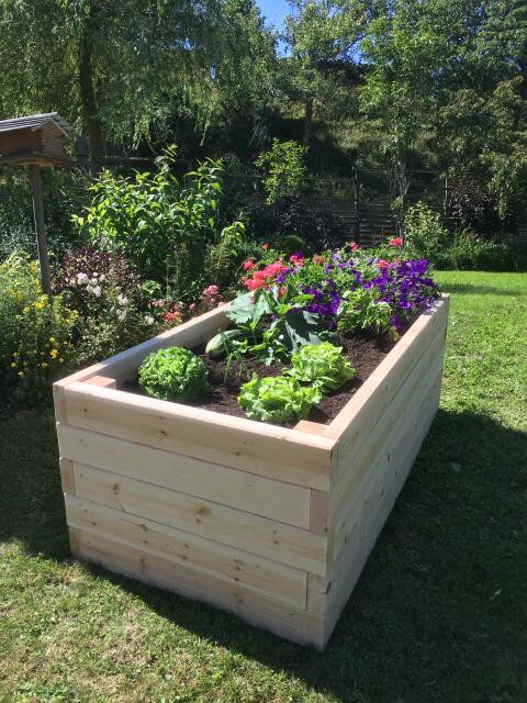 Hochbeet