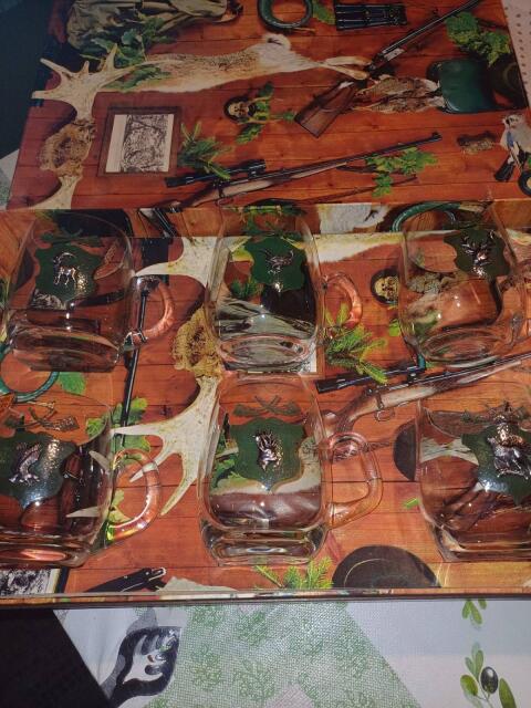 Vintage Jagd Set Gläser