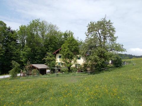 2 ha Grünland zu vergeben, Pacht, Miete