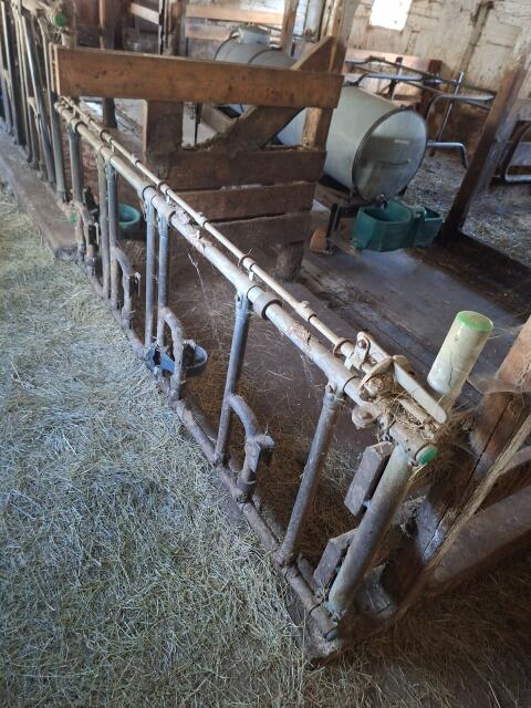 Selbstfangfressgitter Kälber