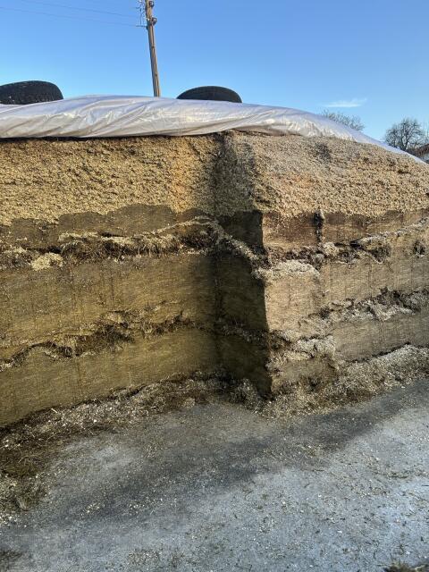 Silage, Silo, Maissilage