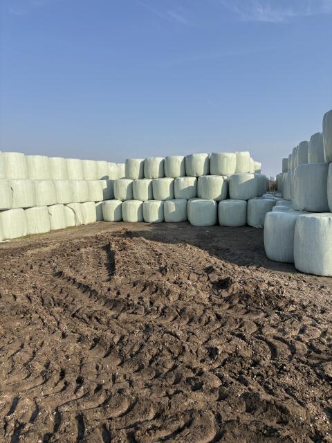 Bio-Silageballen, Heulage