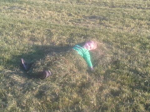 Suche Pachtgrund, Nutzgrund