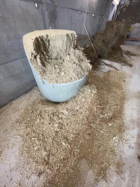 Lischkolben Silageballen