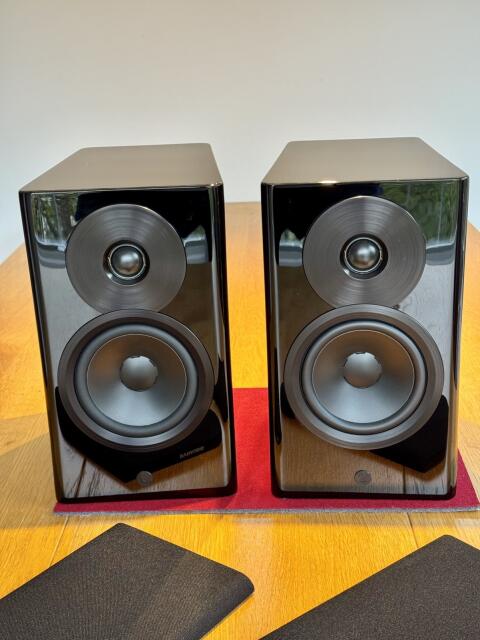 Dynaudio Focus 10 All-in-One Aktivlautsprecher