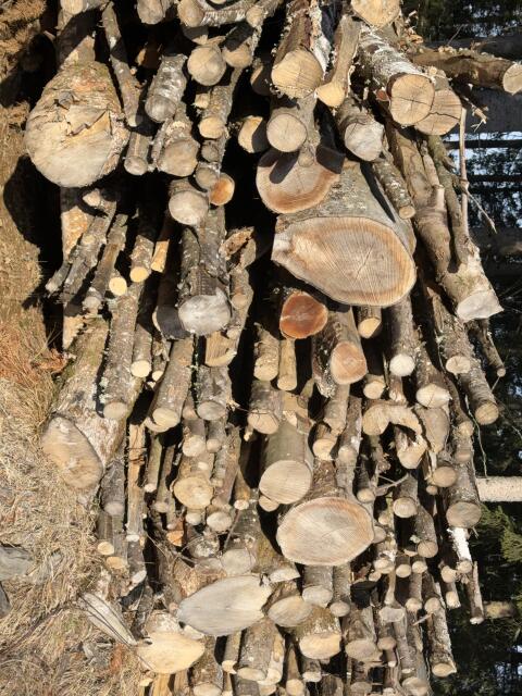 Holz zu verkaufen