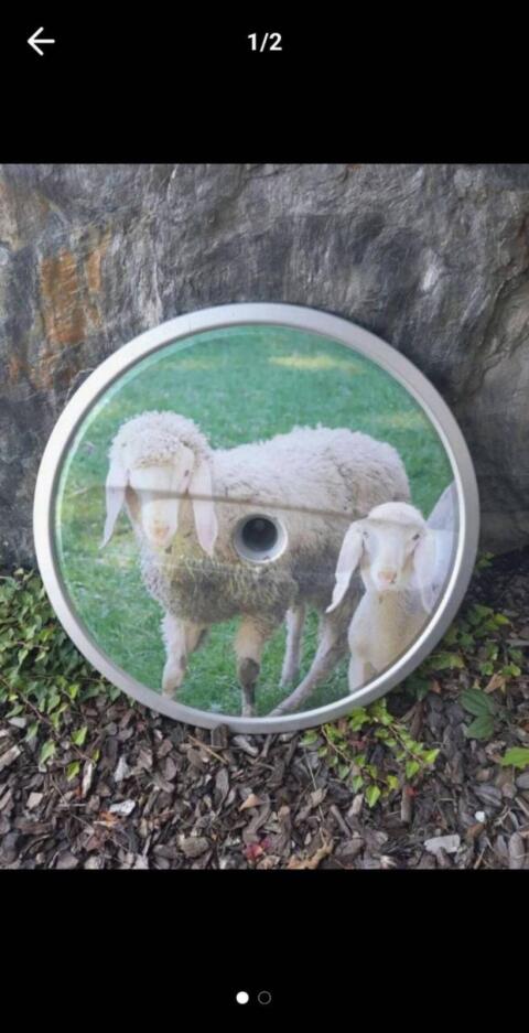 Schafbauern aufgepasst, Schaf-Abdeckung