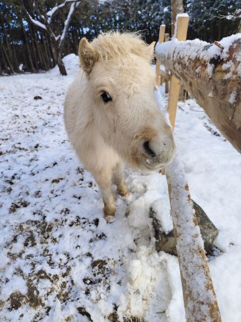 Suchen kleine Landwirtschaft
