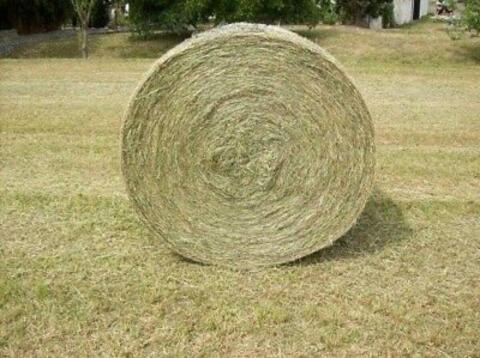 10 Stk. Bio-Heurundballen