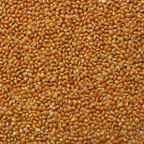 Bio Braunhirse Demeter