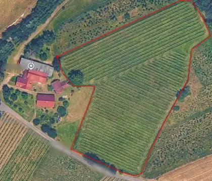 Weingarten zu verpachten