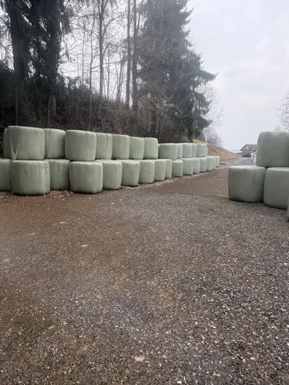 Siloballen Schnitt 2024-2025