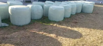 Heu und Siloballen günstig abzugeben