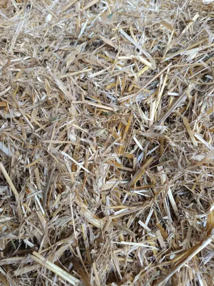 Stroh in Quaderballen